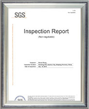 certificate02